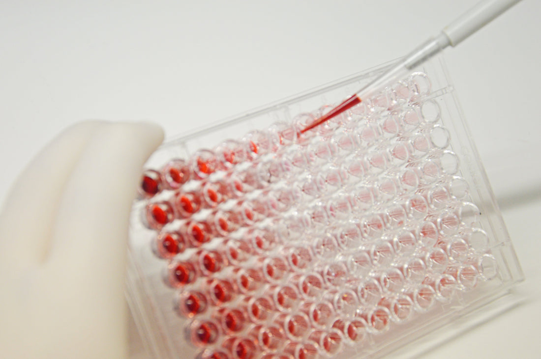 Miglior integratore contro raggi UV e stress ossidativo: criteri scientifici per valutarlo